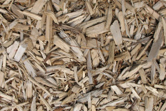biomass boilers Egmere